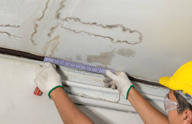 Reliable Water Damage contractor in Aledo, TX by Water Damage Irwin